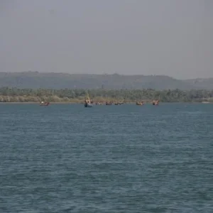 DSC 0456