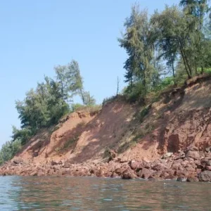 DSC 0520