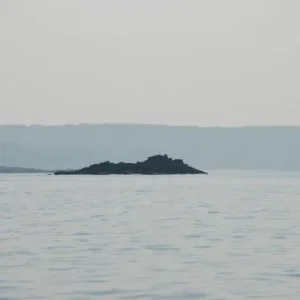 DSC 0522