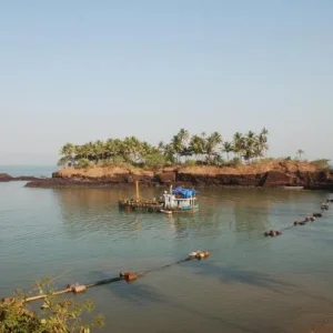 DSC 0556
