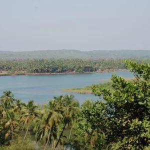 DSC 0583