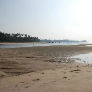 DSC 0639
