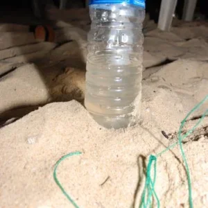 а это-Питьевая вода из ГОАнского колодца...