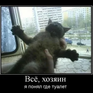 demotivn
