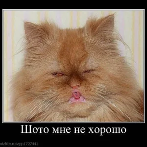 x 80faec76