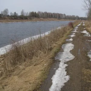 Морозки