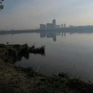 IMG 0611