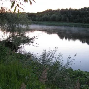 IMG 0815