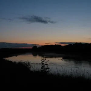 IMG 0824