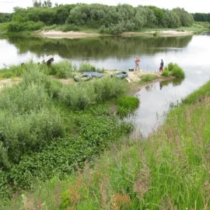 IMG 0850