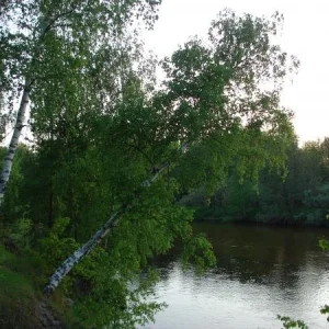 DSC02649
