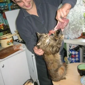 поймал ворюгу