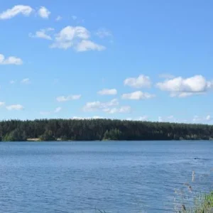 DSC 1186