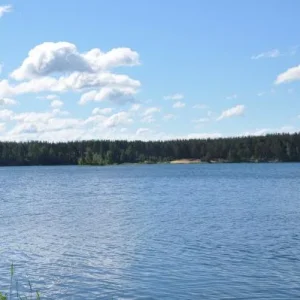 DSC 1188