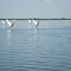 DSC04419