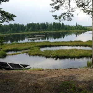 залив