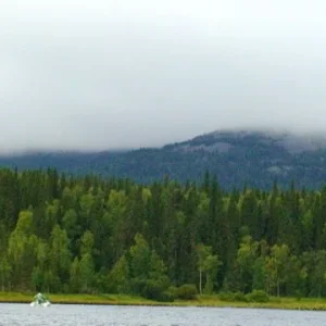 DSC00294