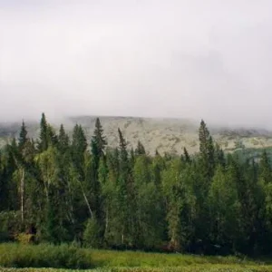 DSC00307