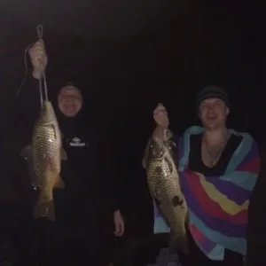 на одном известном водоеме Лось и еще кто-то