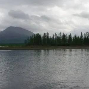 DSC00411