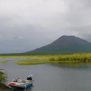 DSC00413