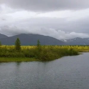 DSC00416