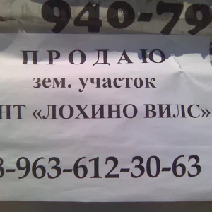 Забыли подпись: Кот Базилио и Лиса Алиса!!!