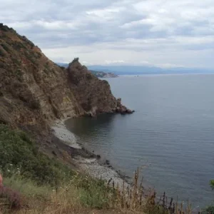 DSC01579