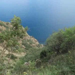 DSC01756