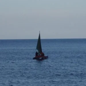 DSC01771