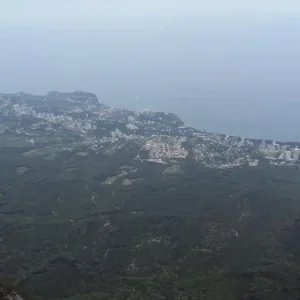 DSC01806