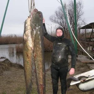 январь 2011