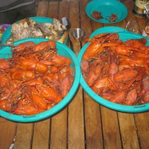 раки