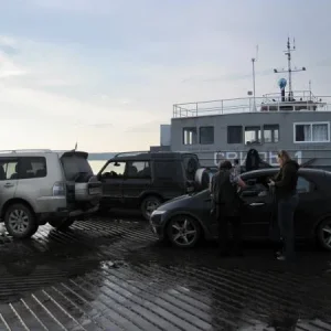IMG 0547