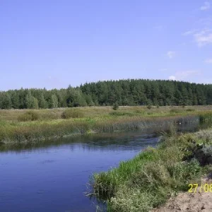 река в Кривце
