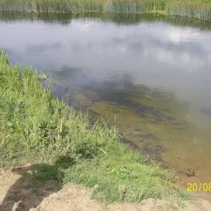 река