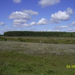с Кривец