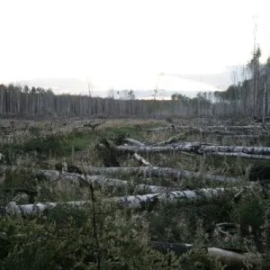 Приехали