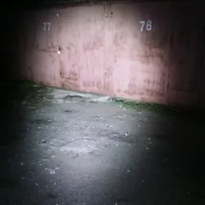 ровный свет
