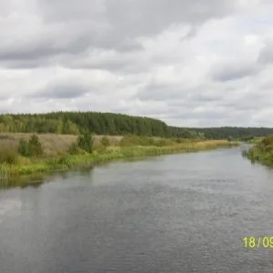 вверх