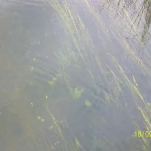 вода