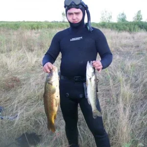 В займище