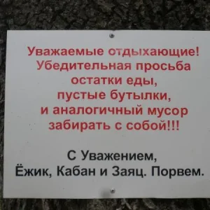 свинкам на заметку!