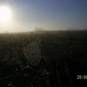 утро 8 часов
