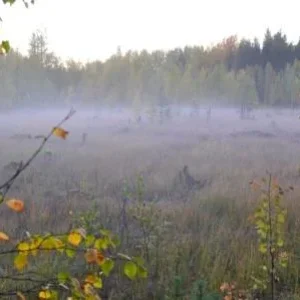 приближались сумерки.....))