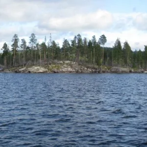 IMG 1513