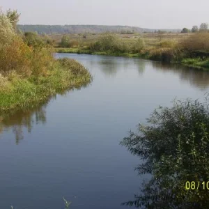 село Кривец