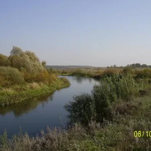 село Кривец