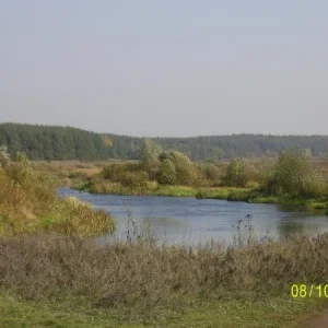 село Кривец