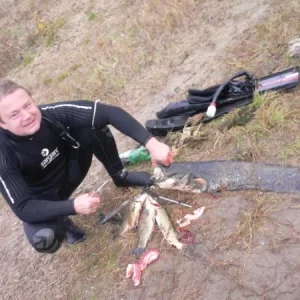 Юркин сомик